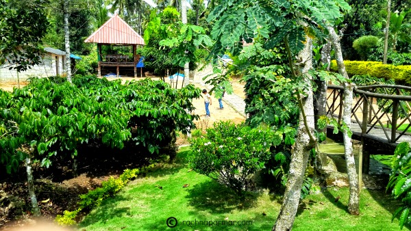 wayanad5