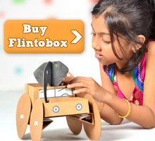 Flintobox – Wildlife Theme Box Reviewed - Rachna Says