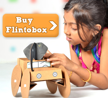 Flintobox – Wildlife Theme Box Reviewed - Rachna Says Flintobox – Wildlife Theme Box Reviewed - Rachna Says