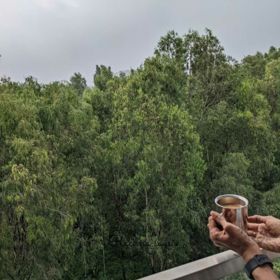 A picture of a hand holding a cup of coffee in a balcony with trees in focus.