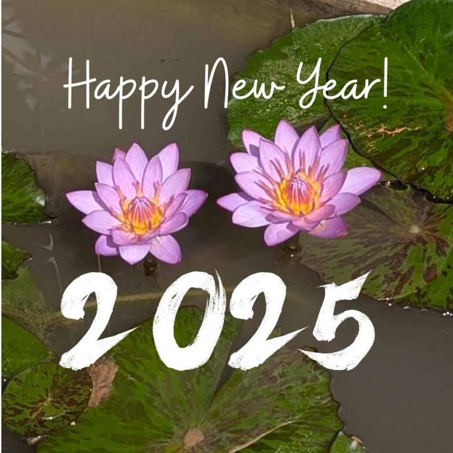 Adios 2024 - Rachna Says